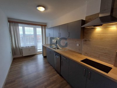 Pronájem bytu 1+1 40 m² Písek