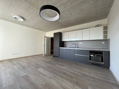 Pronájem bytu 1+kk, garsoniery 39 m² České Budějovice