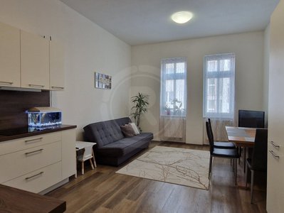 Pronájem bytu 2+1 57 m² České Budějovice