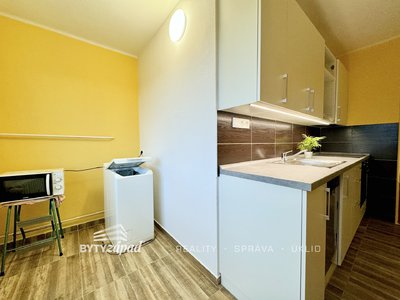 Pronájem bytu 1+1 38 m² Plzeň