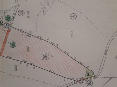 Prodej zemědělské půdy 40000 m² Prosečné