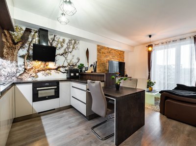 Prodej bytu 2+kk 54 m² České Budějovice