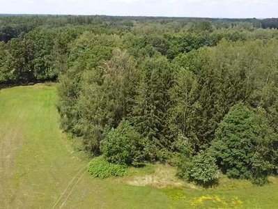 Prodej louky 220000 m² Chlum u Třeboně