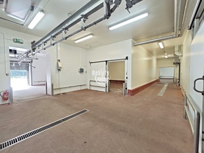 Pronájem skladu, 5000m²
