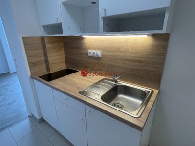 Pronájem bytu 1+1 41 m² Teplice