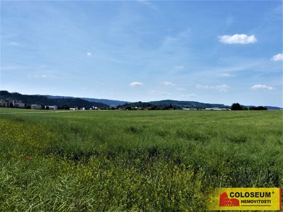 Prodej zemědělské půdy 7225 m² Letovice