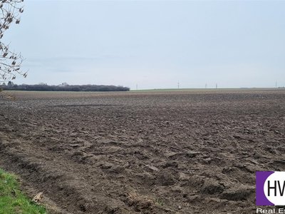 Prodej zemědělské půdy, 3956m²
