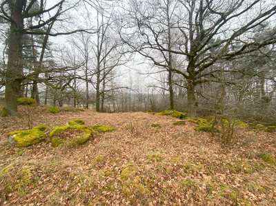 Prodej zemědělské půdy 21641 m² Slatina