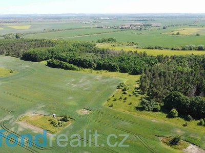 Prodej ostatních pozemků 8529 m² Odolena Voda