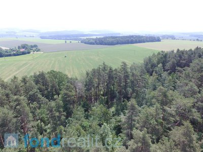 Prodej lesa 3299 m² Šebířov