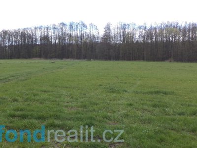 Prodej ostatních pozemků 69579 m² Tachov