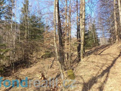 Prodej ostatních pozemků 34704 m² Liberec