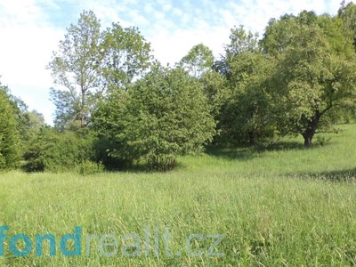 Prodej ostatních pozemků 15764 m² Děčín