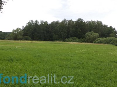 Prodej zemědělské půdy 5581 m² Česká Lípa