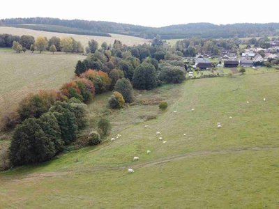 Prodej zemědělské půdy, 5257m²