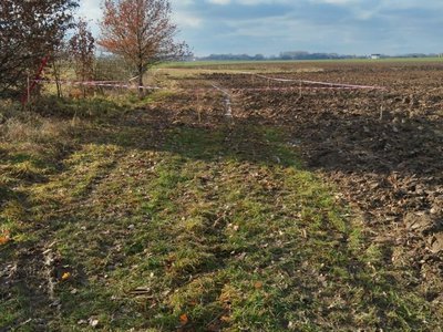 Prodej zahrady 403 m² Pardubice