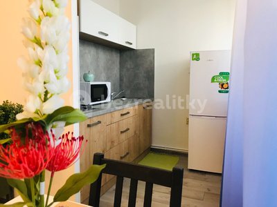 Prodej bytu 1+kk, garsoniery 28 m² Praha