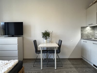 Pronájem bytu 1+kk, garsoniery, 25m²