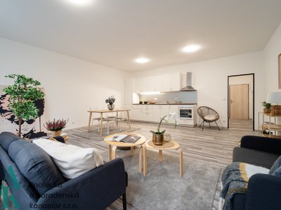 Pronájem bytu 1+kk, garsoniery 55 m² Ústí nad Labem