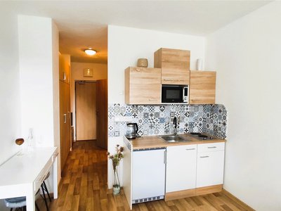 Prodej bytu 1+kk, garsoniery 23 m² Všemina