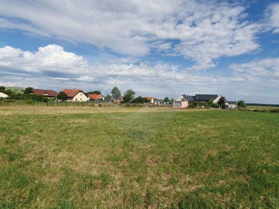 Prodej louky, 3237m²