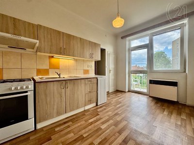 Pronájem bytu 1+1 44 m² Brno