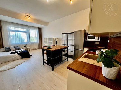 Pronájem bytu 1+kk, garsoniery 38 m² Brno