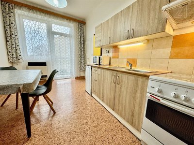 Pronájem bytu 1+1 42 m² Brno