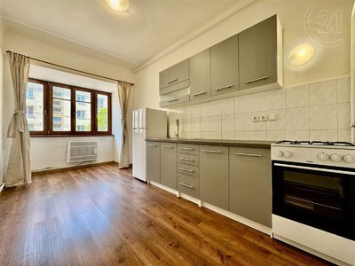 Pronájem bytu 1+1 44 m² Brno