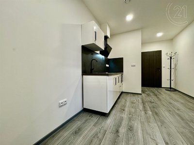 Pronájem bytu 2+1 39 m² Brno