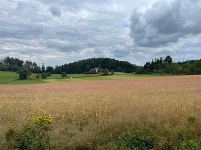 Prodej ostatních pozemků, 2480m²