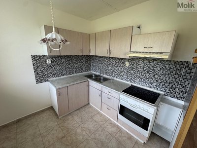 Pronájem bytu 1+1 39 m² Most