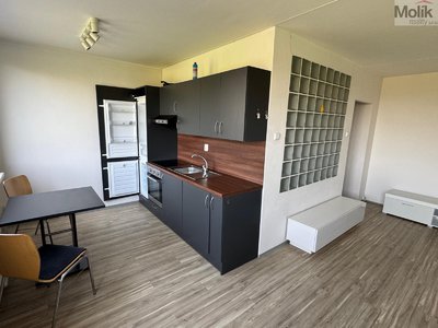 Pronájem bytu 1+1 35 m² Most