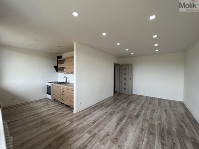 Prodej bytu 1+1 51 m² Bílina