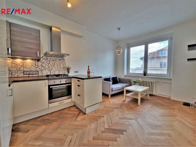 Pronájem bytu 1+1, 41m²