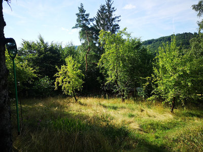 Prodej stavební parcely 1256 m² Stříbrná Skalice