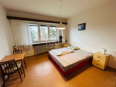 Pronájem bytu 1+1 45 m² Praha