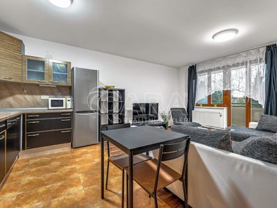 Pronájem bytu 2+kk 55 m² Praha