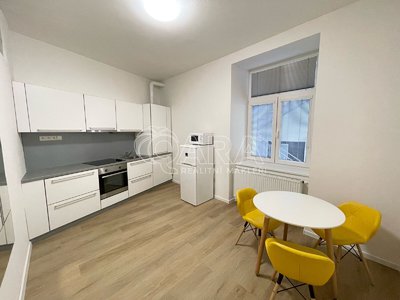 Pronájem bytu 1+1 46 m² Brno