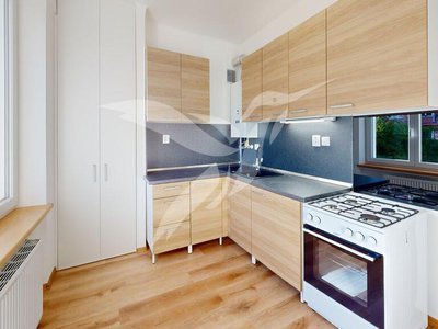 Pronájem bytu 3+1 46 m² Plzeň