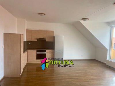 Pronájem bytu 2+kk 56 m² České Budějovice