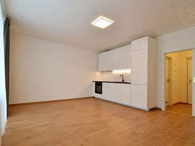 Pronájem bytu 1+kk, garsoniery, 36m²