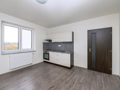 Pronájem bytu 1+kk, garsoniery 22 m² Plzeň
