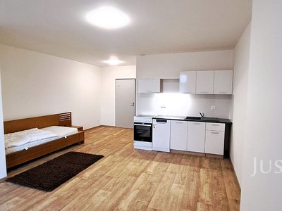 Pronájem bytu 1+kk, garsoniery 29 m² Čížová