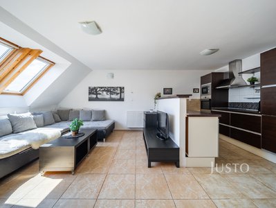 Prodej bytu 3+kk 66 m² České Budějovice
