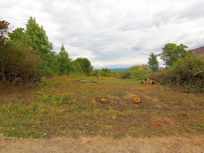 Prodej stavební parcely 2836 m² Staré Smrkovice