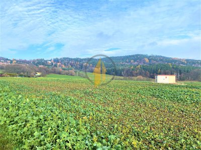 Prodej zemědělské půdy 9316 m² Holín