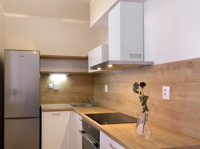 Pronájem bytu 1+kk, garsoniery 46 m² Brno