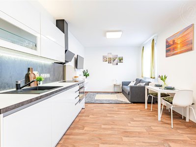 Pronájem bytu 1+kk, garsoniery 31 m² Praha