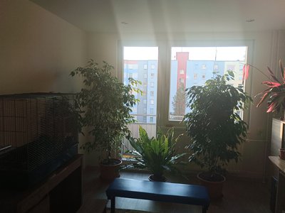 Prodej bytu 3+1 78 m² Tábor